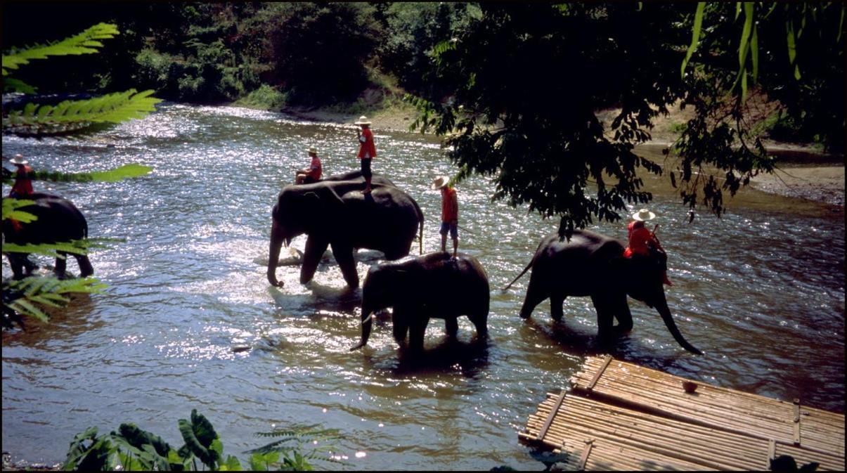 One Night Zleep At Nimman Pansiyon Chiang Mai Dış mekan fotoğraf