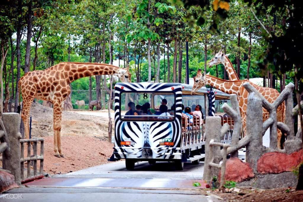 One Night Zleep At Nimman Pansiyon Chiang Mai Dış mekan fotoğraf