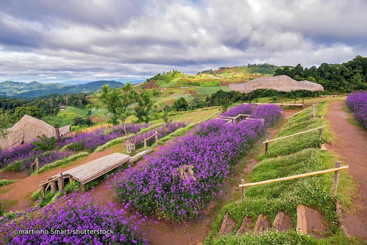 One Night Zleep At Nimman Pansiyon Chiang Mai Dış mekan fotoğraf